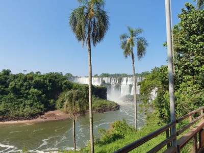 20191122_071209.jpg
