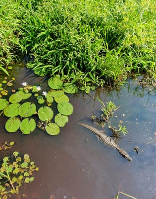 20191122_071304.jpg
