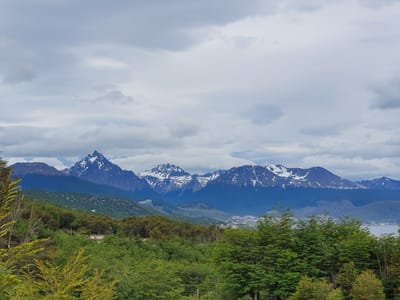 20191122_172954.jpg