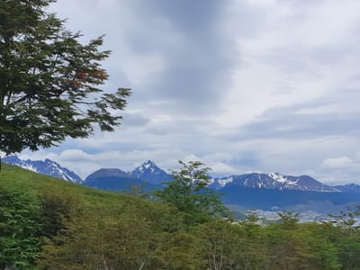 20191122_174358.jpg
