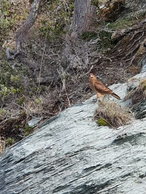 20191123_102324.jpg