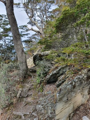 20191123_102531.jpg