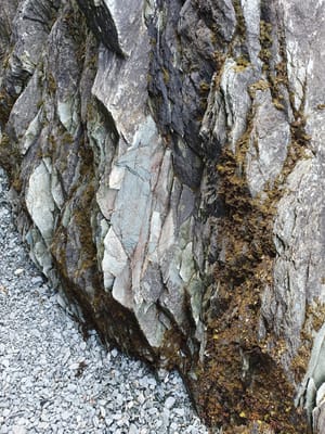 20191123_102826.jpg