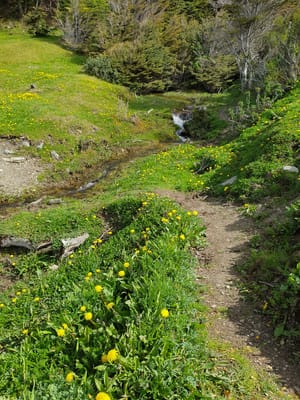 20191123_103047.jpg