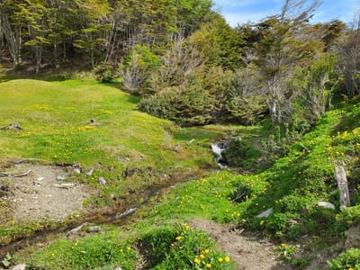 20191123_103054.jpg