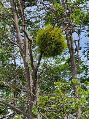 20191123_113551.jpg