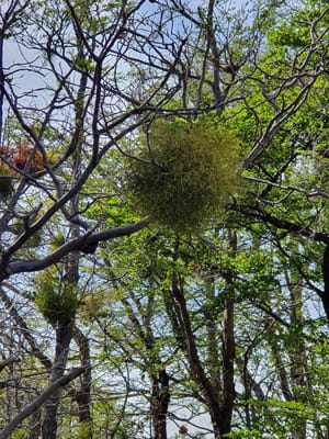 20191123_114916.jpg