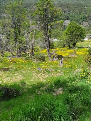 20191123_120351.jpg