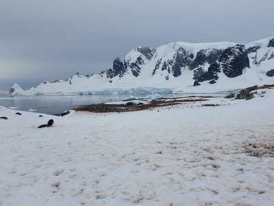 20191126_160823.jpg