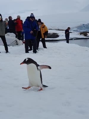 20191128_100944.jpg