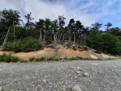20191202_094404.jpg