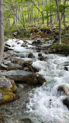 20191202_101616.mp4