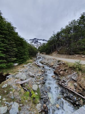 20191202_103113.jpg