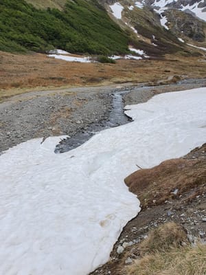 20191202_104733.jpg