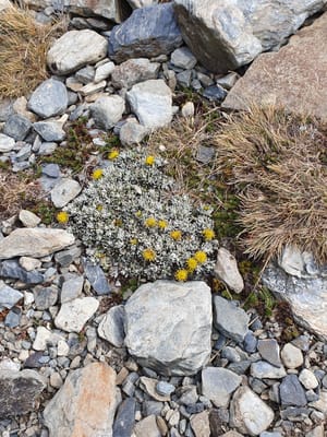 20191202_110343.jpg