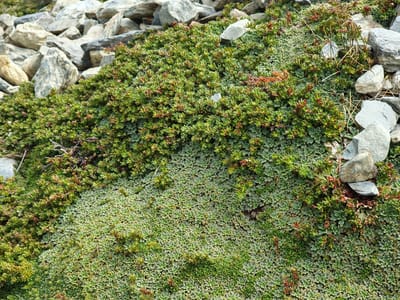 20191202_110358.jpg