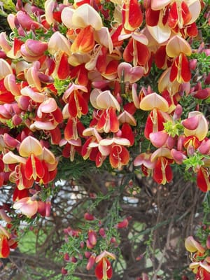 20191202_141730.jpg