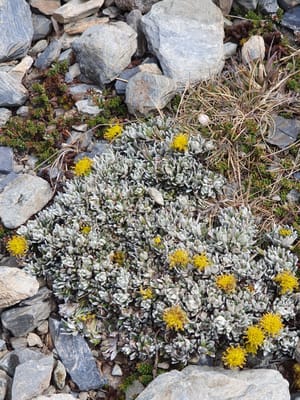 20191202_143251.jpg