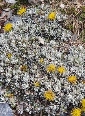 20191202_143404.jpg