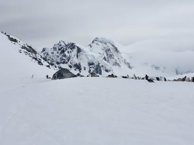 20191126_090924.jpg