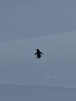 20191126_091443.jpg