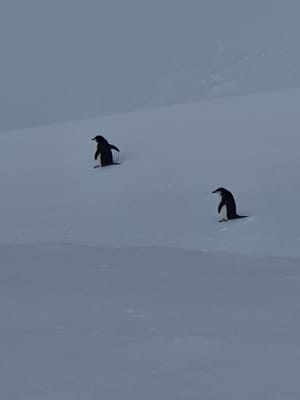 20191126_091456.jpg