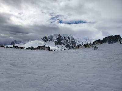 20191126_093835.jpg