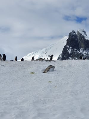 20191126_094617.jpg