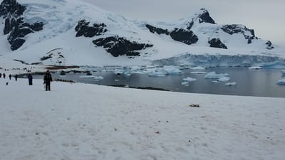 20191126_161024.mp4