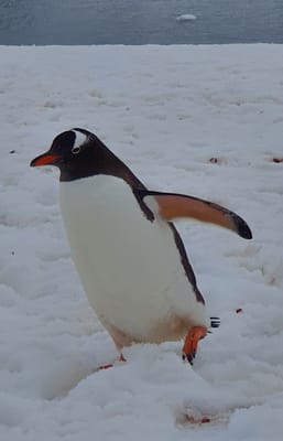 20191126_182848.jpg