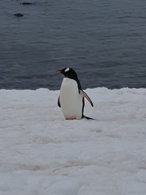 20191126_190804.jpg