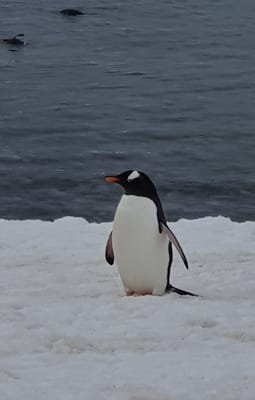20191126_190902.jpg