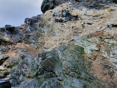 20191127_085254.jpg