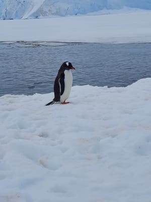 20191128_100814.jpg