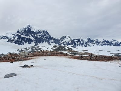 20191128_102845.jpg