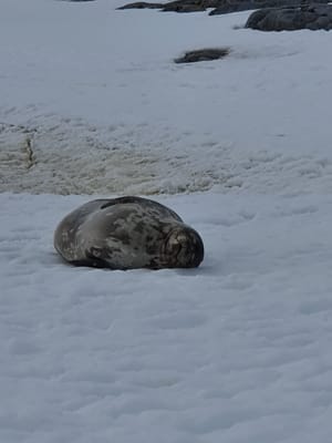 20191128_103519.jpg