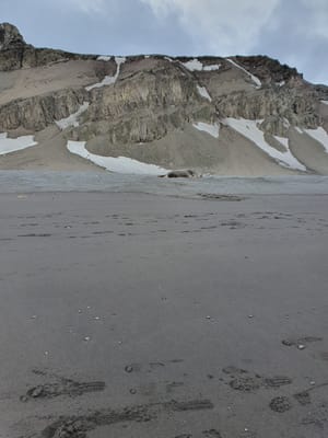 20191129_165541.jpg