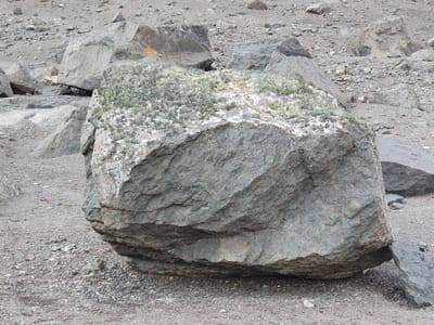 20191129_174123.jpg