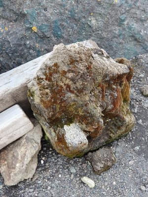 20191129_174141.jpg