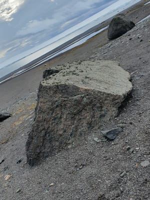 20191130_104041.jpg