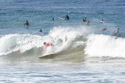 DSC_8040.JPG