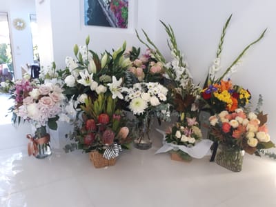 20190717_080056.jpg