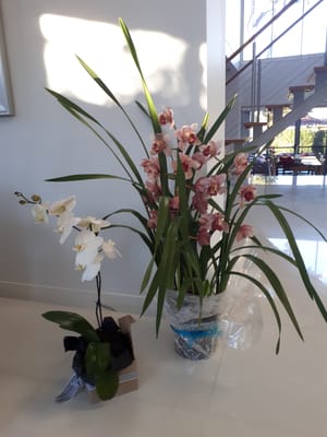 20190717_080108.jpg