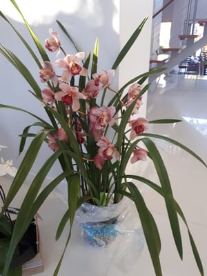 20190717_080113.jpg