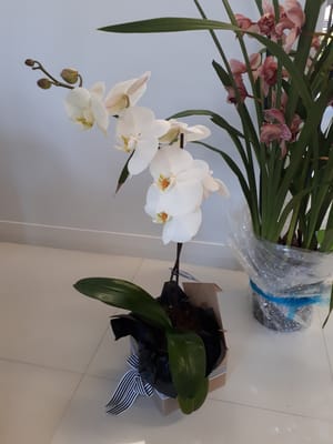 20190717_080120.jpg