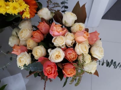 20190717_112118.jpg