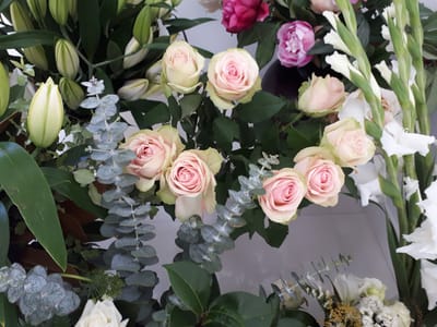 20190717_112125.jpg