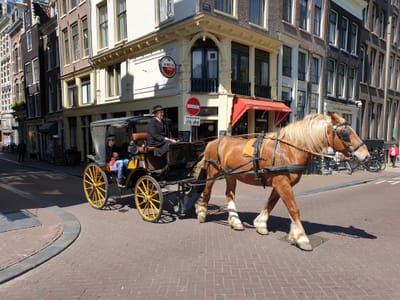 20190514_132855.jpg
