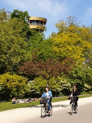 20190514_150031.jpg