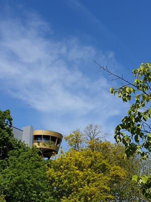 20190514_150106.jpg